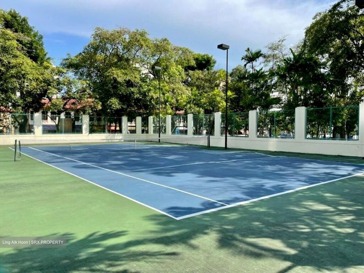 Simsville (D14), Condominium #495883131